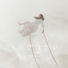 Astraea