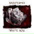 Baintermix