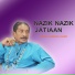 Talib Hussain Dard