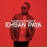 Ehsan Paya