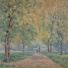 tran duy