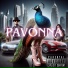 PAVONNA