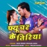 Vikas Pandey, Priyanka Singh