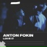 Anton Fokin