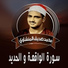 El Sheikh Mohamed Seddik El Menshawy