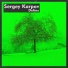 Sergey Karpov