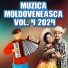 MIHAI FALCA & Fratii din Carbuna