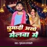 Gulshan Rajvanshi