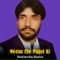 Shahensha Bacha