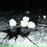 WHITE GALLOWS, Danny Farro