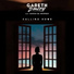 Gareth Emery feat. Dani Poppitt