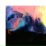 Shigeto