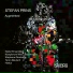 Nadar Ensemble, Stefan Prins