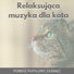 Usypianie Kociąt