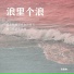 张紫楠
