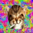 juggtausif