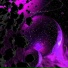 ZKM