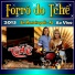 Forró do Tchê