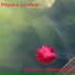 Daysha Lindale