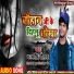 Dharmveer Chauhan