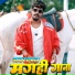 Roshan Rohi
