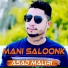 Asad Maliri