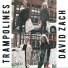 Trampolines, David Zach