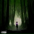 shiso