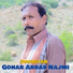 Gohar Abbas Najmi