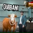 BORO BHAI feat. Ali Hossain, RAYHAN RIFAT