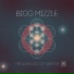 Bigg Mizzle