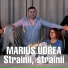Marius Udrea