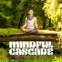 Asian Meditation Music Collective