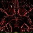 neverside