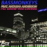 Bassmonkeys Feat. Natasha Anderson