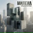 Милена, Тим