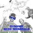 Acid Minerale, FC Dynamo