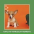 Dog Chill Out Music