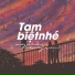 DIMZ, TVk, NH4T
