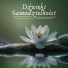 Mistrz Zen