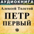 Аудиокнига в кармане, Максим Доронин