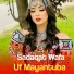 Sadaqat Wafa