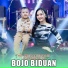 Ersa Amelia, Rizvan Bocil feat. Mahesa Music