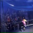 with me, with you, Low Key Trampoline