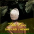 DAVLAD, Hemir