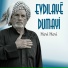 Evdılaye Dumayi