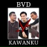 BVD