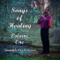 Soundole VGM Covers