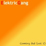 ElektricGang