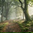 Arcanum